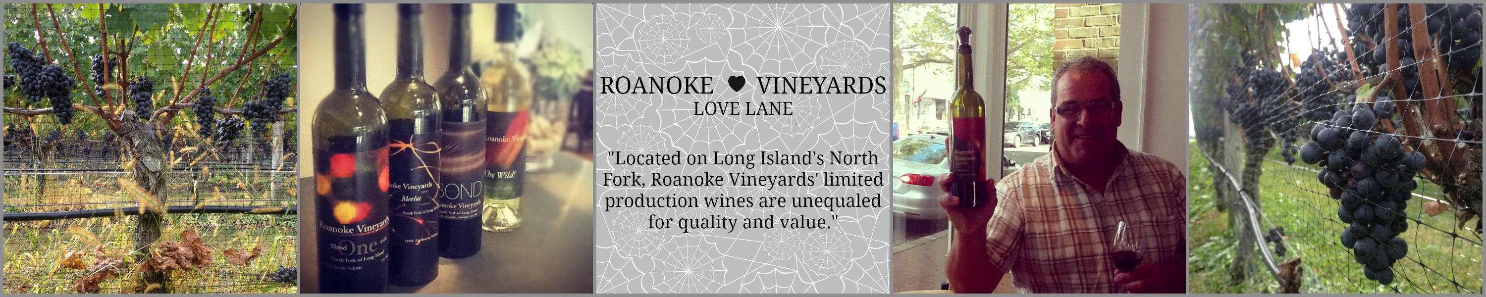 Roanoke Vineyards on Love Lane